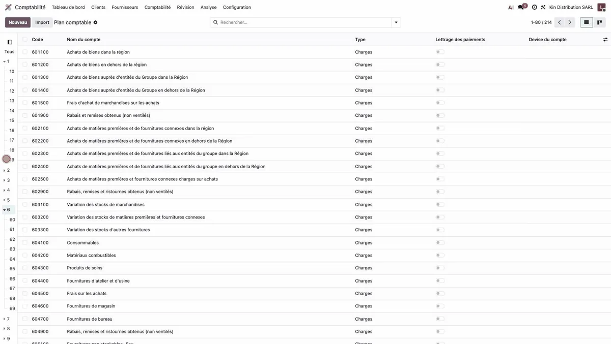 Plan comptable d'Odoo filtré sur la classe 6, affichant 214 comptes de charges